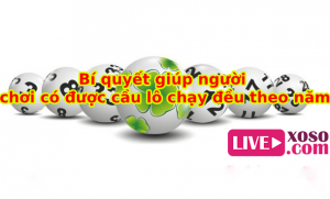 Bí quyết giúp người chơi có được cầu lô chạy đều theo năm